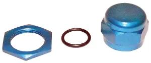 Diaphragm Bleeder Control Replacement Nut & Washer