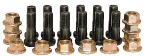 Ring Gear Bolt Kit